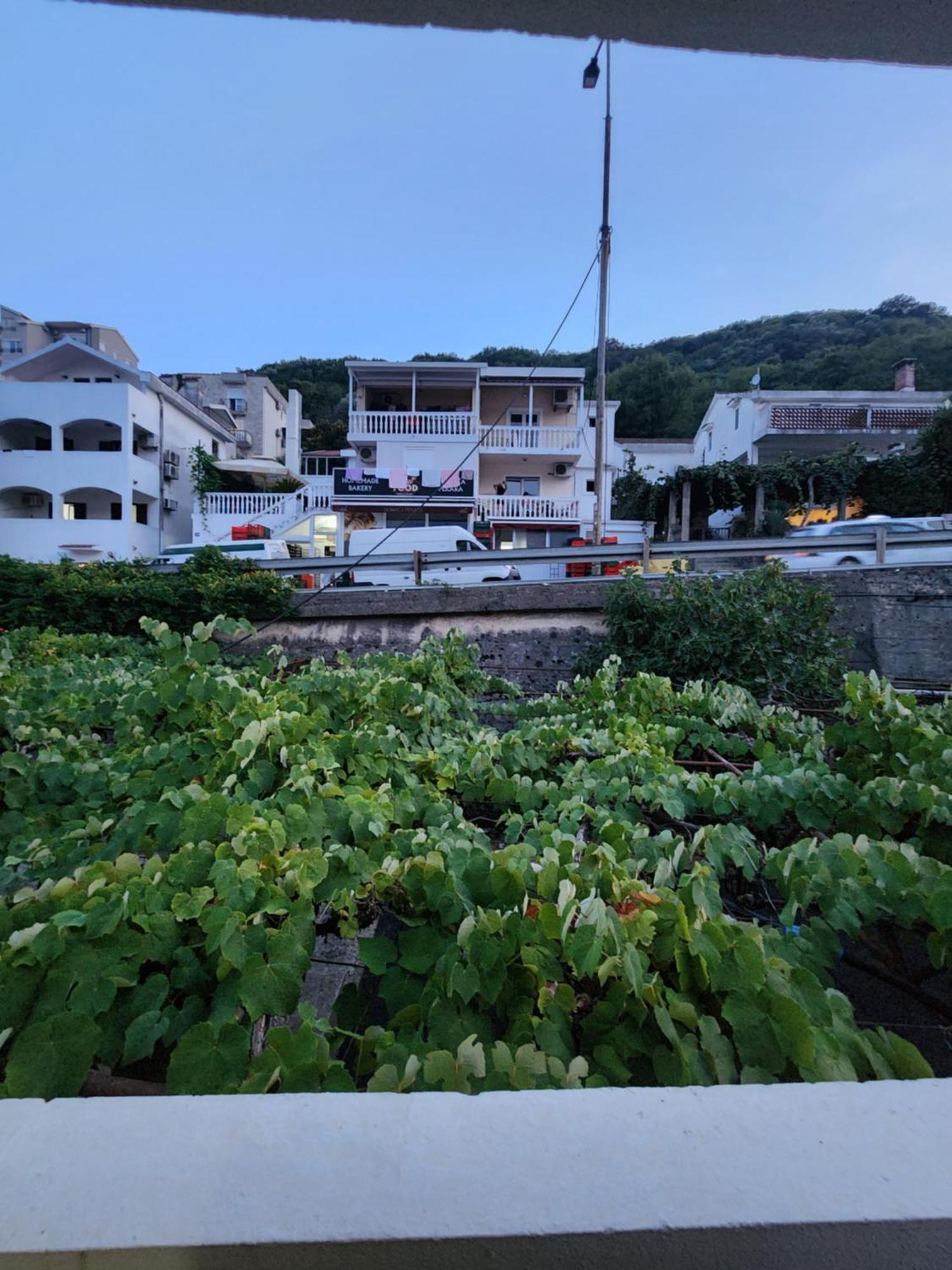 Alloggio in famiglia Bozovic I Budua