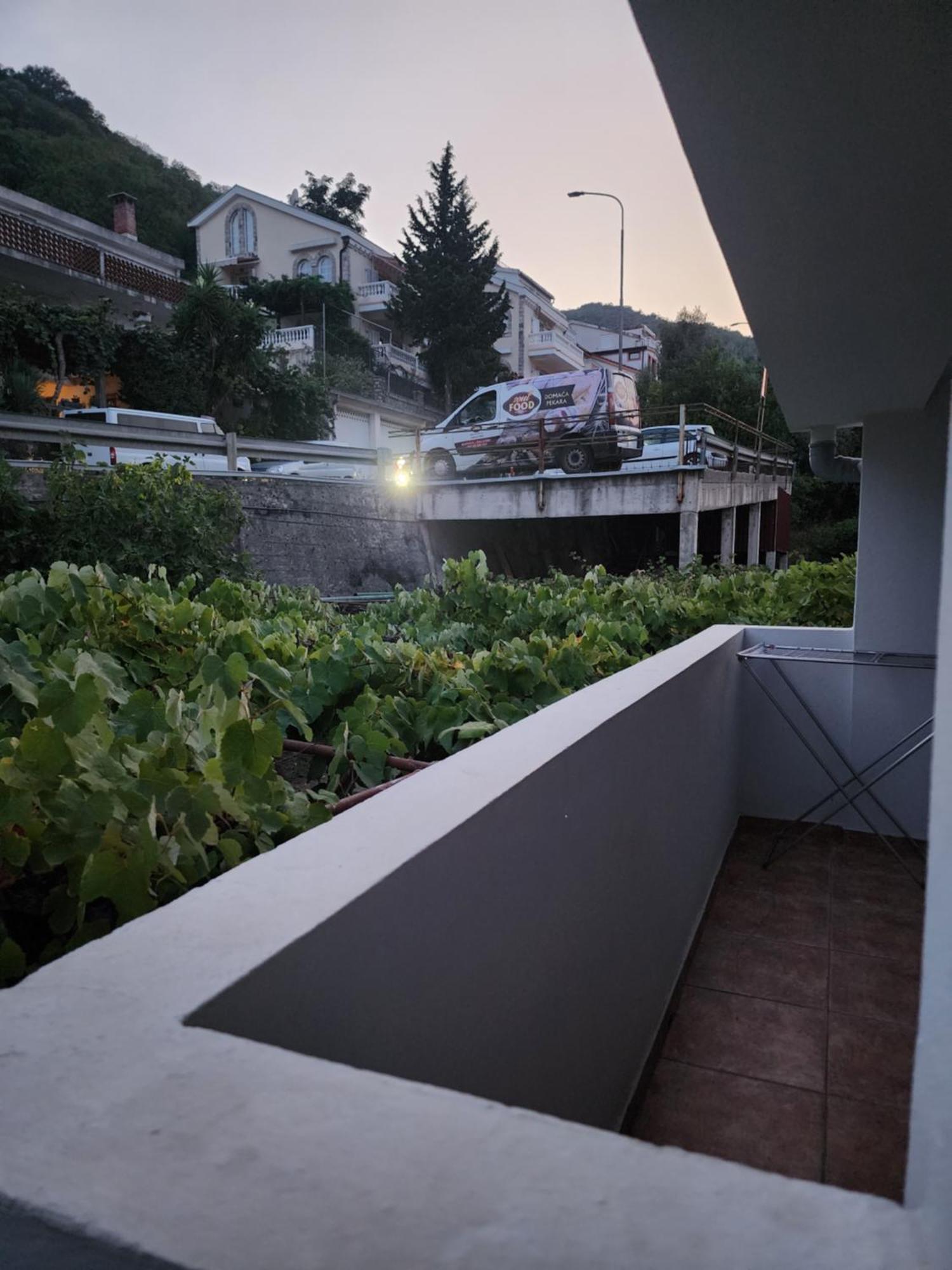 Bozovic I *